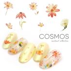 [ кошка pohs бесплатная доставка ] наклейки на ногти Cosmos цветок наклейка [MG200325-06] собственный ногти гель ногти 
