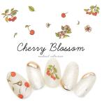 [ кошка pohs бесплатная доставка ] наклейки на ногти Cherry bro Sam наклейка [MG200501-02] собственный ногти гель ногти 