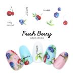 [ кошка pohs бесплатная доставка ] наклейки на ногти свежий Berry наклейка [WG899] собственный ногти гель ногти 