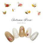 [ кошка pohs бесплатная доставка ] наклейки на ногти o-tam rose наклейка [HANYI-595] собственный ногти гель ногти 