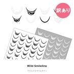  гель ногти ногти Town [ есть перевод ] наклейки на ногти wild Smile линия наклейка [ черный чёрный / белый ] все 2 цвет 