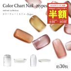 [ кошка pohs бесплатная доставка ] ногти tool цвет chart kaboshon ногти -2 модель примерно 30 листов ввод собственный ногти гель ногти 