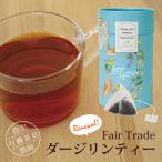 フェアトレード 紅茶 ダージリン（ 嬉々!!CREATIVE限定アートパッケージ・フェアトレードダージリンティー ）テトラティーバッグ リーフティー 敬老の日