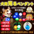 首輪 犬用 犬 光る首輪 散歩 ライト LED 夜 おしゃれ 小型犬 中型犬 大型犬  レインボー