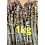 itadoli....gon Pachi 1kg takkyubin (доставка на дом) compact много 