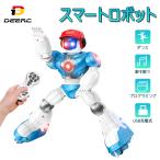 DEERC ロボット 多機能ダンスロボット 電動 ラジコン スライド ポログラミングモード 二足歩行 プログラム可能 手振り制御 子供 クリスマス プレゼント
