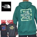 大きいサイズ メンズ ノースフェイス THE NORTH FACE プルオーバー パーカー 裏起毛スウェット NOVELTY GRAPHIC PULLOVER HOODY USAモデル XL XXL