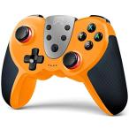 TERIOS Switch コントローラー スイッチ コントローラー 小型6軸ジャイロセンサー搭載 多機能 にんてんどーすいっちこんとろーら