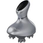 NIPLUX день . плюс head spaNP-HS20S серебряный NPHS20S ( срок поставки стандарт 1-2 неделя )