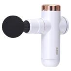 ALINCO Alinco корпус Shape gun MCB020W белый ( срок поставки стандарт 1-2 неделя ) gun массажер массажер в подарок оптимальный!