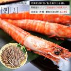 限定入荷 お1人様1点まで えび エビ 海老 鹿児島産 加熱用養殖活〆車海老 小巻〜不揃い(70型) 1kg やわら含む 車海老 くるまえび 冷凍