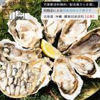 かき カキ 牡蠣 広島県産ジャンボ生剥き牡蠣(かき)1kg／解凍後850g(20-40粒前後) 冷凍便送料無料 お年賀 年末年始 ごちそう ギフト