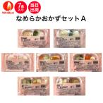 介護食 冷凍 なめらかおかずセットＡ 10食入り 当日発送 UDF 舌でつぶせる スムースグルメ ムース食 ミキサー食 ペースト食 送料無料 日東ベスト