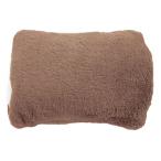 蓄熱式湯たんぽふわんぽ2個セット