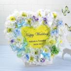 ¥¦¥§¥ë¥«¥à¥Ü¡¼¥É ¥»¥·¥ë 48¸Ä¥»¥Ã¥È