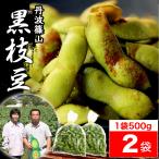 2023 販売開始【送料無料 数量限定】丹波篠山 黒枝豆 ＜ 枝豆 500g × 2袋 ＞ h-2 もっちり 大粒 丹波 黒豆