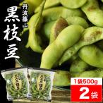 2023 販売開始【送料無料 数量限定】本場 丹波 黒枝豆 ＜ 枝豆 500g × 2袋 ( さや )＞ t-2 もっちり 大粒 丹波 黒豆