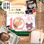 エコー写真 アルバム 10ツキ10カものがたり くまのがっこう オリジナル メッセージ アルバム 絵本 TT09 _ tz_opk-TT09 ポイント利用