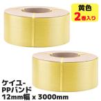 �P�C���[�� 2���Z�b�g ���F PP�o���h( ��12mm �~ ���� 3000m ) ��������@�p  ���i��  �ו���h�~ �o���h �����@ �����P�C���[