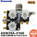 パナソニック 純正 AXW29A-2160 洗濯機 
