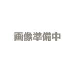 HAPGJ306-U 能美防災 カラーモニタ付住宅情報盤（GP型3級受信機、QUASTY） 埋込型