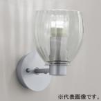 . глициния освещение Seyde держатель * подвесной светильник для прозрачный стекло * прозрачный S-166C