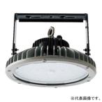 ニッケンハードウェア 高天井LED投光器 200W