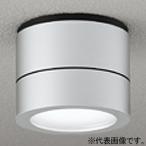 o-telikLED маленький размер фонарь для крыльца защита от дождя type застежка GX53-1 температура белый цвет стена поверхность * потолок поверхность * наклонение поверхность установка двоякое применение коврик серебряный OG264064WR