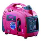 ワキタ 防音型インバーター発電機 交流直流両用タイプ タンク容量2.2L HPG900I