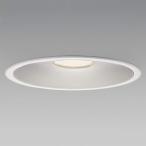 ߾ LED١饤 300mm ۸60 ŵ忧 Ÿ XD157502WL