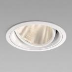 ߾ LED˥С饤 125mm ۸15   Ÿ XD102105WW