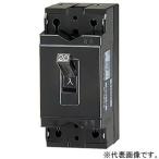 テンパール工業 安全ブレーカ 産業用 2P1E30AF 20A 機器組込タイプ B1EAD20