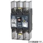 テンパール工業 漏電遮断器 3P3E100AF 100A 103KC1030
