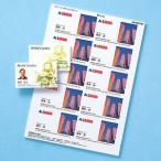  Sanwa Supply визитная карточка карта цветной лазерный специальный фото глянец * стандарт толщина модель двусторонний печать микро швейная машина cut модель 10 сиденье *100 карта входить LBP-MMC10KN