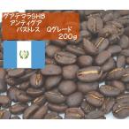 グァテマラSHB アンティグア パストレス Qグレード　200g
