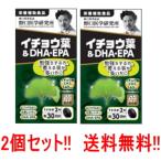 イチョウ葉＆DHA・EPA（510mg×60粒）約