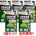 イチョウ葉＆DHA・EPA（510mg×60粒）約