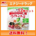 ショッピングラカント 12個セット！送料無料！　【サラヤ】　自然派甘味料　ラカントＳ　顆粒 800g×12セット