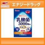 【山本漢方】 乳酸菌粒 90粒