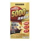 肥満、内脂肪