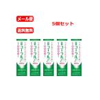 ショッピング爽快ドラッグ 【メール便　送料無料 5個セット】【歯科用】コーラルε（イプシロン）80gｘ5【歯磨き粉】【医薬部外品】【薬用歯みがき】【コーラルイプシロン】わかもと製薬