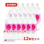 【送料無料・12本セット】 オンガネジャパン 九州天然水 シリカシリカ スパークリング 炭酸水 500ml +ENERGYポケットティッシュ付