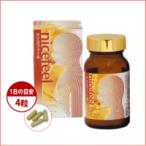 ナイスフィール 1箱37.2g 【株式会社 日正】