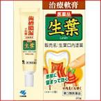 【第3類医薬品】【小林製薬】 薬用 生葉口内塗薬　２０ｇ ＜歯槽膿漏治療薬＞