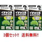 【送料無料　3個セット】イチョウ�