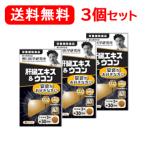 [ Noguchi . Gakken . место ][ бесплатная доставка!] [3 шт. комплект ].. экстракт & куркума (250mg×90 шарик ) примерно 30 день минут ×3 шт. комплект [ питание пассажирский еда ]