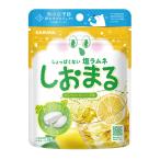 【サラヤ】SARAYA しおまる ひんやりレモンソーダ 30g 重曹 ＋ クエン酸 しょっぱくない 塩分補給 塩ラムネ ひんやり 持ち運び コンパクト