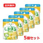 [ бесплатная доставка *5 шт. комплект ] Sara yaSARAYA. горшок .... лимон soda 30g×5 бикарбонат натрия лимонная кислота ..... нет соль минут .. соль Lamune ....