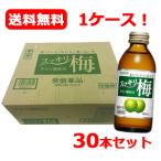 【常盤薬品】【送料無料！30本セット！】スッキリ梅 160ml×30（合計1ケース）炭酸飲料　同梱不可