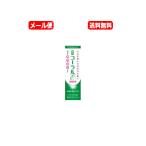 ショッピング爽快ドラッグ 【メール便　送料無料】【歯科用】コーラルε（イプシロン）80g【歯磨き粉】【医薬部外品】【薬用歯みがき】【コーラルイプシロン】わかもと製薬